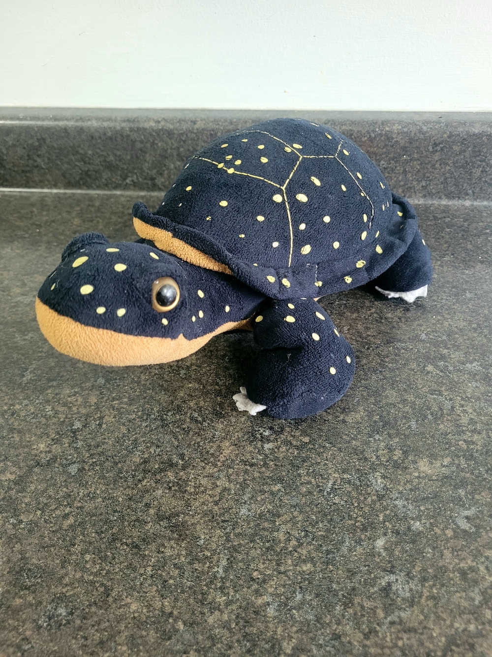 Wild Republic Black Spotted Turtle 11inch